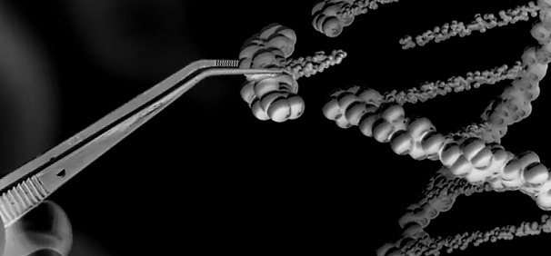 Aan genetisch gemanipuleerd voedsel is niet meer te ontsnappen border=