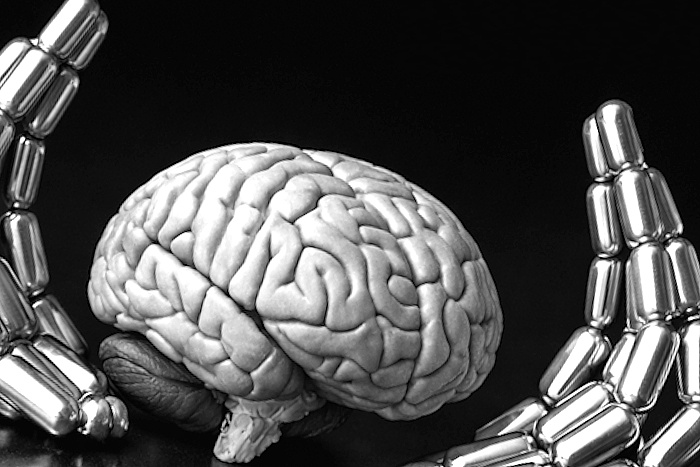 DHA-suppletie vergroot hippocampus en verhoogt intelligentie bij 65-plussers