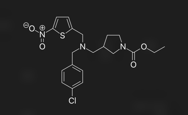 Dossier SR9009 | Fitter en slanker door het manipuleren van de biologische klok?